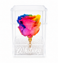 Colourful Forever Rose (Personalized)