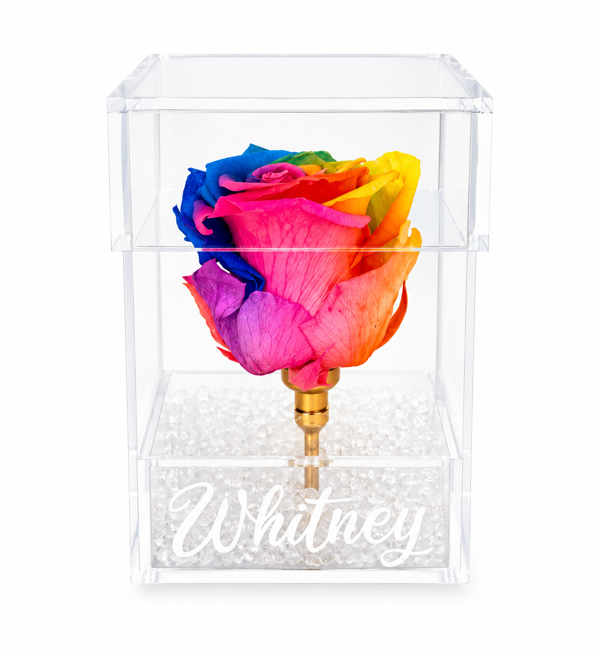 Colourful Forever Rose (Personalized)