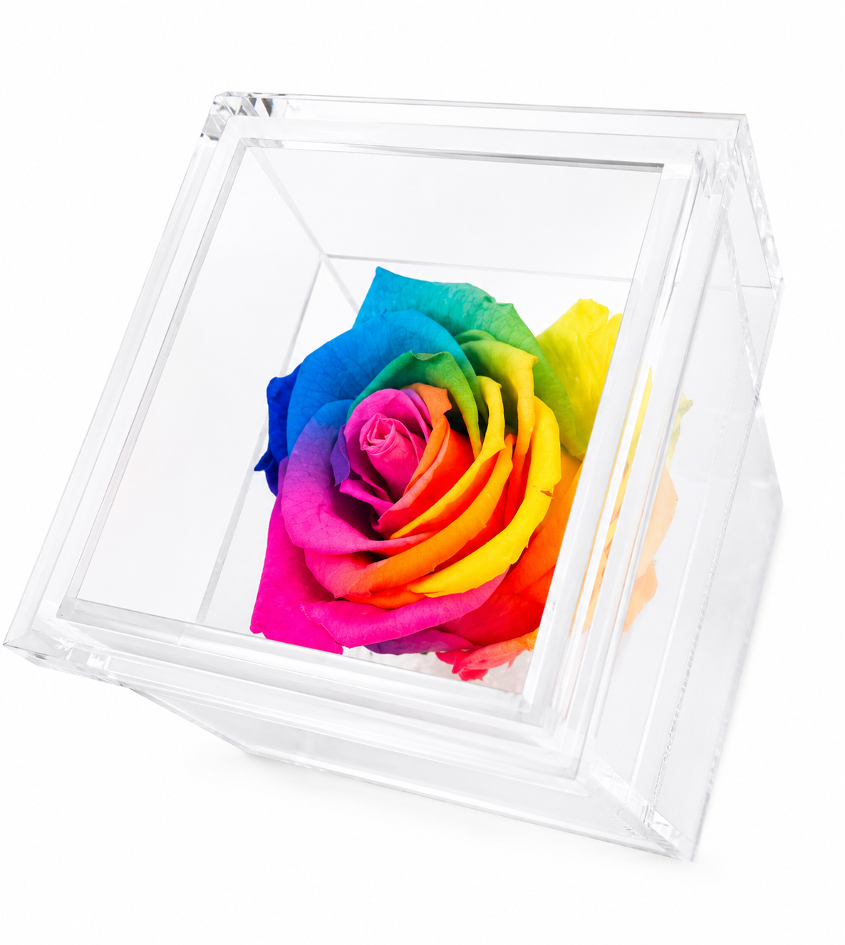 Colourful Forever Rose (Personalized)